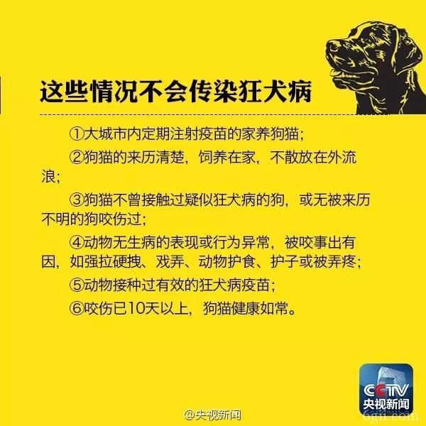 狗咬了没破皮没出血有点红 需要打针吗